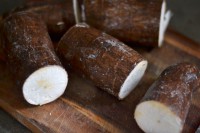 Yuca (Por Lb)